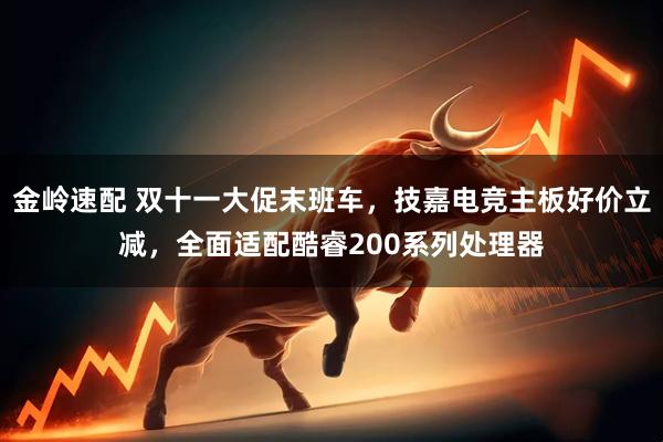 金岭速配 双十一大促末班车,技嘉电竞主板好价立减,全面适配酷睿200系列处理器