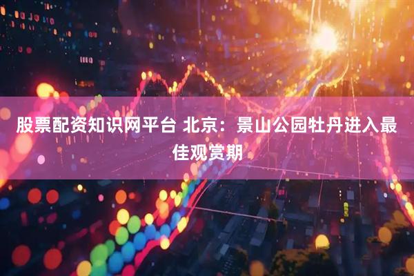 股票配资知识网平台 北京：景山公园牡丹进入最佳观赏期